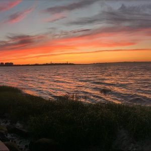 Meet your Posher, Nina